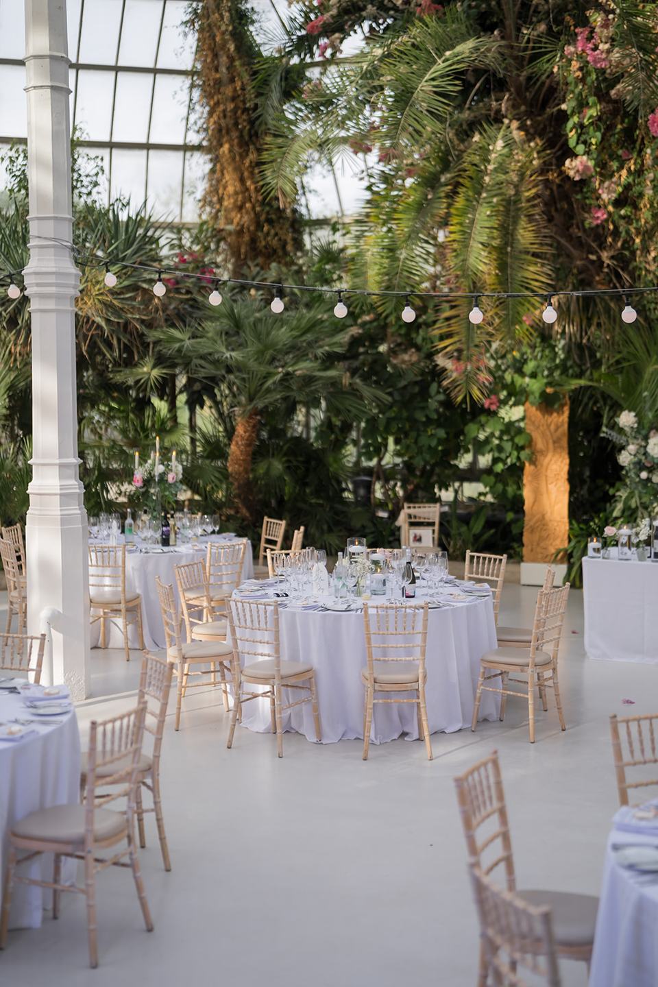 Reception tables among the greenery at Heather and Charlie’s Sefton Park Palm House wedding